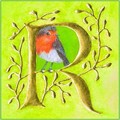 robin logo